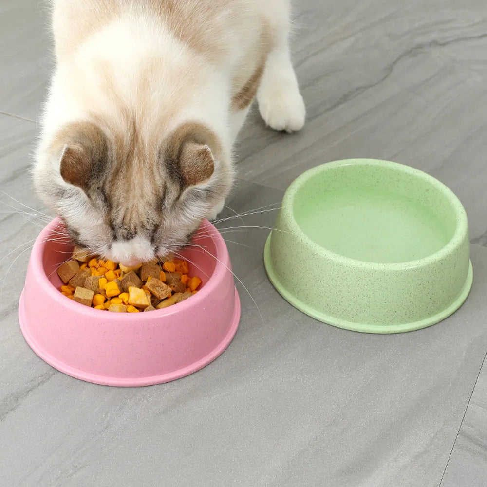 Sacb4aac6676c4460a94b5f20ff6261fbM